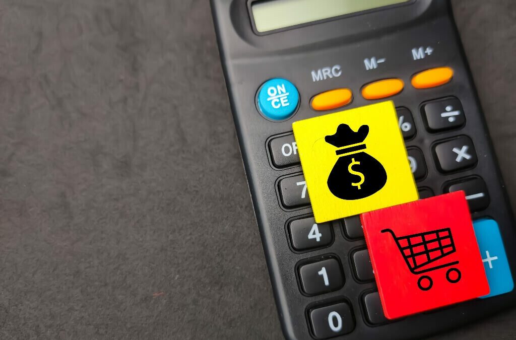 How Do We Compare to a Revenue-Based Finance Provider